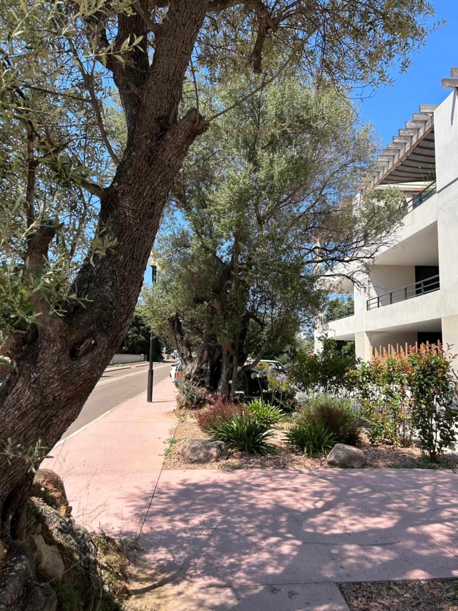 Sognu Di Serena - Superbe Appartement Avec Parking Gratuit Sur Place Porto-Vecchio  Exterior foto